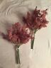 493240011484 Unbranded Astilbe Flower Bundle Floral Arrangement Artificial Plant