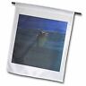 54354 Fl Fish In The Sea Garden Flag By 499012299012
