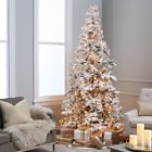 5822-75c Sterling Tree Company Heavy 017816182783