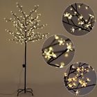605163 Specialdeals4u 6ft Japanese Cherry 645688605163