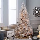60sg 6113--60sg 6113 Sterling Tree Company 017816331457