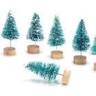 629770552344 Unbranded Us Mini Sisal Bottle Brush Snow Frost