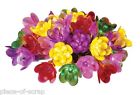 634324820572 Gki Multi Color Double Petal Reflector Light Set