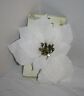 639277026255 Elegance By Christmas House Clip On Poinsettia White