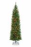 641752951204 National Tree Company Artificial Slim Christmas Green Kingswood