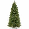 641752951235 National Tree Company Prelit Artificial Christmas Includes Led