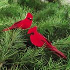 65701 Gallerie Ii Cardinal Christmas Ornament Red Pack Of 008246657019