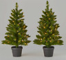 689720417840 Wondershop Alberta Spruce Potted Artificial Christmas Tree Dm