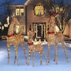 69-125 Members Mark Lawn Deer