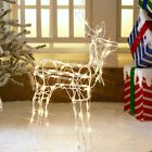 69-425b Holiday Time Christmas Reindeer Light Up Buck Outdoor Or Indoor