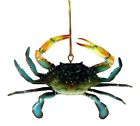 6orncrab Charlotte International Coastal Maryland Blue Crab Inch Three 603830720836