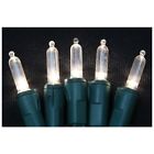7001088s-18ac Celebrations Mini Led Light String White 843518024362
