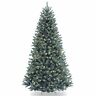 729083501678 National Tree Company Foot North Valley Blue Spruce