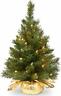 729083611285 National Tree Company Artificial Mini Christmas Includes Small
