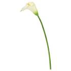 734205460962 Vickerman Artificial Calla Lily