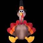 73774 Home Accents Holiday 5