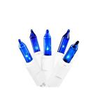 762152813906 Northlight Seasonal Set Of Blue Mini Christmas Lights