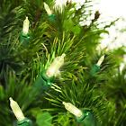16-function 764878667382 Holiday Time New Warm White Mini Lights Ft