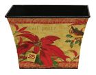 767631 Great Finds Poinsettia Christmas 846228060699