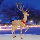 7857131 Lighted Reindeer Christmas Yard Decor Antlers Twinkle Lights 7110107857131