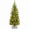 785934119157 National Tree Company Artificial Slim Christmas Green Kingswood