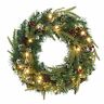 810033893353 Wbhome Inch Artificial Christmas Wreath With Led Lights