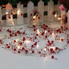 810851028159 Smart Living Company Led Red Beads String Light