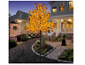 816192016671 Lightshare Maple Tree Led Warm White Lights Feet