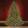 81678 Hammacher Schlemmer Worlds Best Prelit Noble Fir 9.5 Medium 1 400 Clear Led Lights Christmas Tree