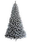 819421020043 King Of Christmas 9