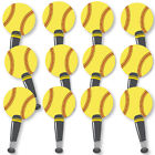 843394141467 Big Dot Of Happiness Fastpitch Softball Spirit Cheer