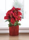 849179033163 Christmas Collection Faux Everlasting