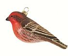 874504002804 Cobane House Finch Hand