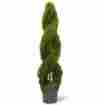 875291p National Tree Company Double Cedar Spiral Topiary With Green Pot