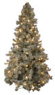 886505440189 Direct Export 9 Iced