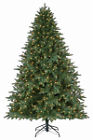 887628058435 7.5 Olymp Fir Art