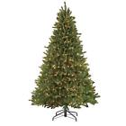 909-ff-100c13 Puleo 10 Ft Pre-lit 804606633378