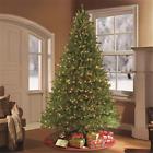 909-ff-75c75 Puleo 7.5 Ft Pre-lit 804606579782