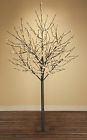 0379161 93041 Everlasting Glow 8ft Lighted 037916930411