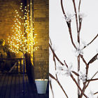 95362 Massmarket 6ft Outdoor Lighted