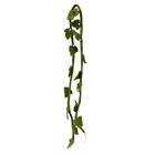 98001-0 Homart Felt Holly Garland Green 646964089714
