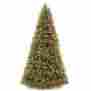 98806 Artificial Christmas Tree Fortune Bliss Collection Feel Real 12 Feet Green Xmas Trees Lights Decorations 724597398806