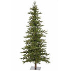 A101866 Vickerman New 6 X 734205181829