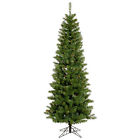 A103077led Vickerman Salem Pencil Pine 734205183199