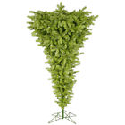 A107875 Vickerman Colorful Upside Down 734205205228