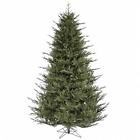 A110355 Vickerman 5.5 Ft X 734205215531