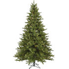 A124456 Vickerman New 5.5 X 734205268582