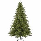 A124466 Vickerman 6.5 Ft X 734205268636