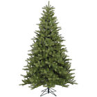 A124490 Vickerman King Spruce 12 734205268773