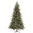 A141681 Vickerman New 9 X 734205364857